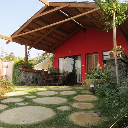 The Green And Red Cabins Ma'ale Gamla Kültér fotó